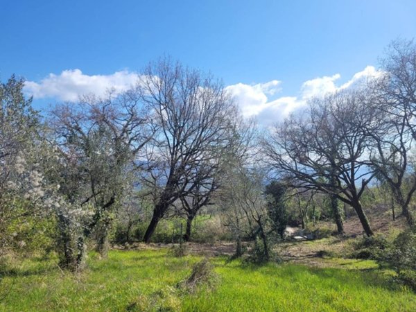 terreno agricolo in vendita a Narni