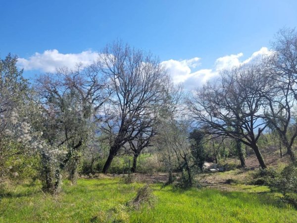 terreno agricolo in vendita a Narni in zona Narni Scalo