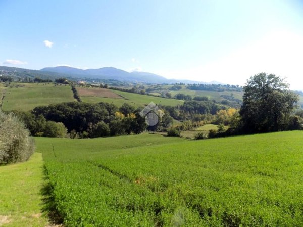 appartamento in vendita a Narni in zona Vigne