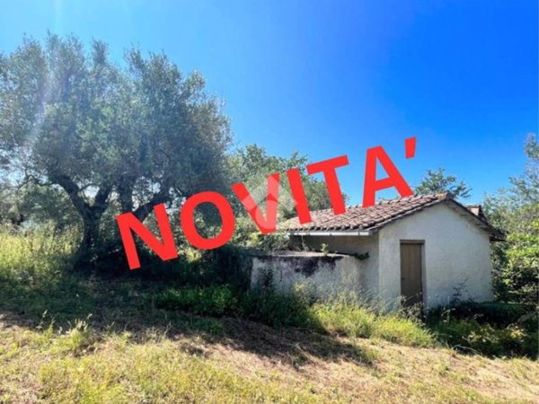 terreno agricolo in vendita a Narni