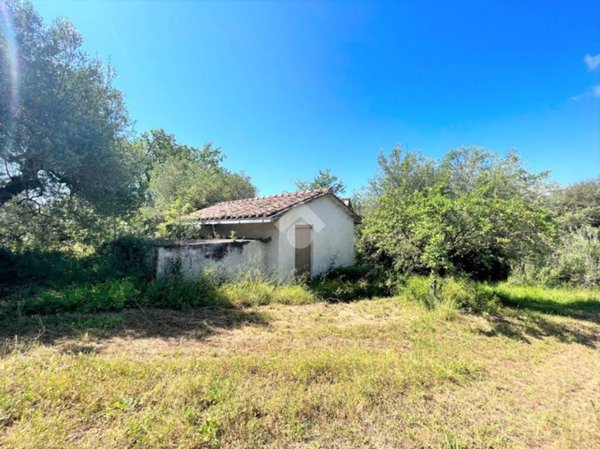 terreno agricolo in vendita a Narni in zona Montoro