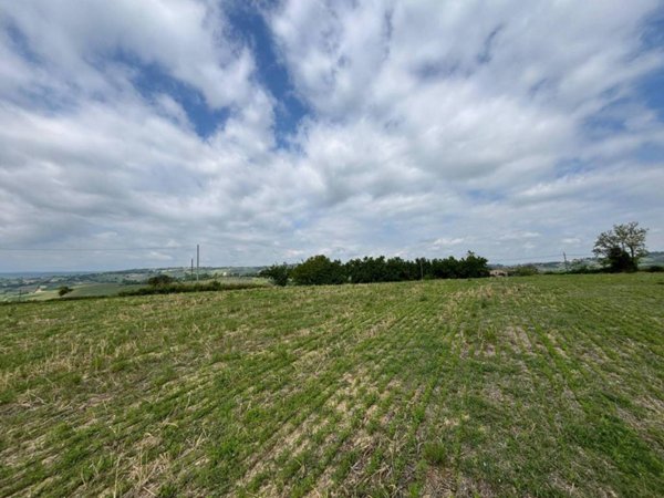 terreno agricolo in vendita a Narni