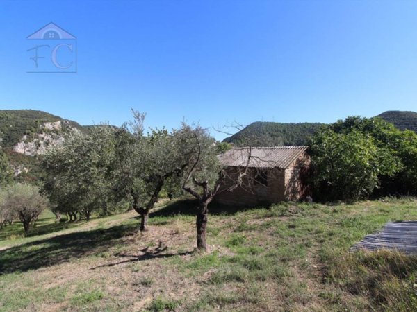 terreno agricolo in vendita a Narni in zona Taizzano