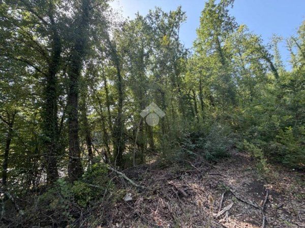 terreno agricolo in vendita a Narni
