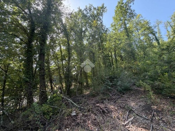 terreno agricolo in vendita a Narni