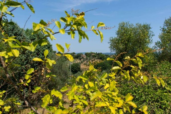 casa indipendente in vendita a Narni in zona Gualdo