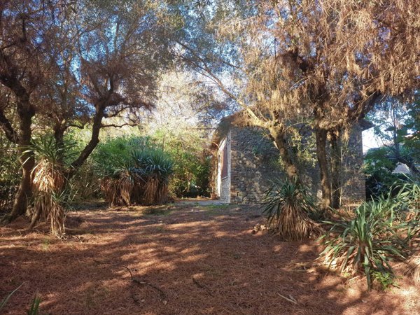 casa indipendente in vendita a Narni in zona Gualdo