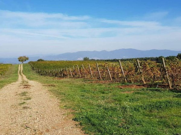 terreno agricolo in vendita ad Orvieto in zona Orvieto Scalo