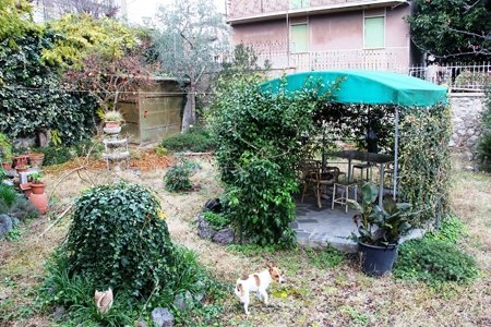 casa indipendente in vendita ad Orvieto in zona Morrano