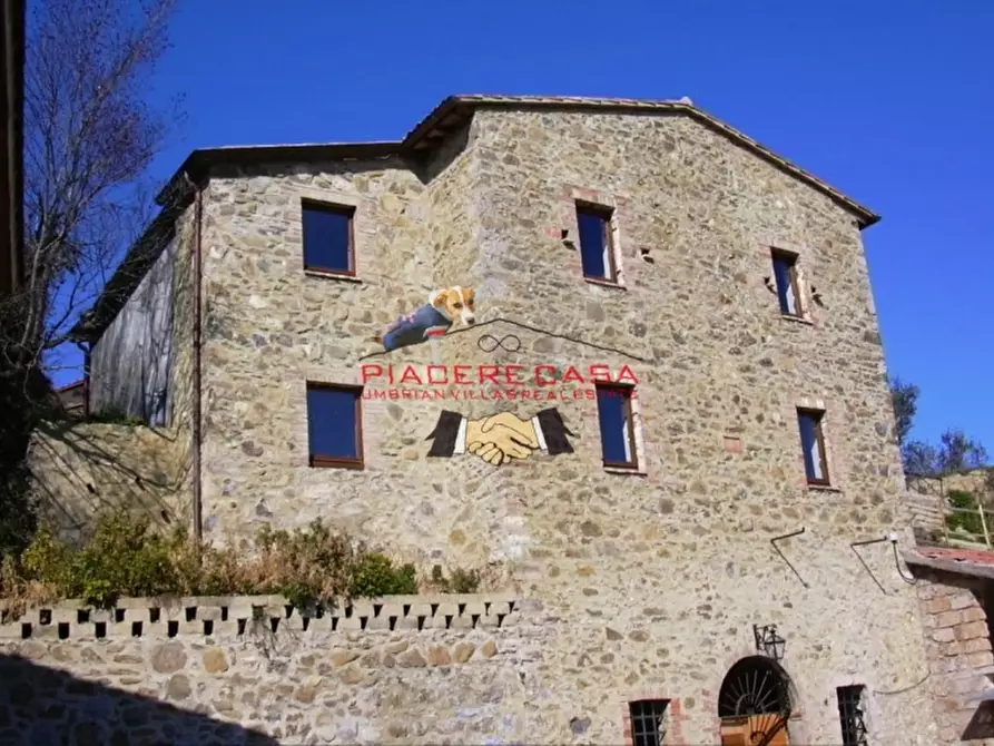 azienda agricola in vendita ad Orvieto in zona Bagni
