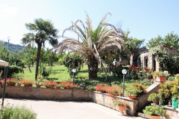 casa indipendente in vendita ad Orvieto