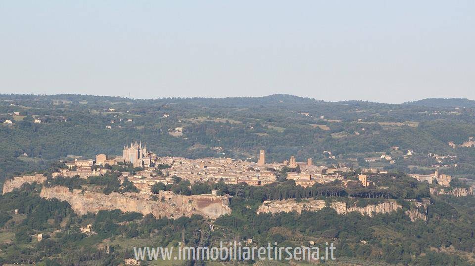 azienda agricola in vendita ad Orvieto
