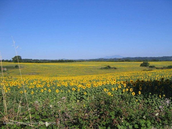 azienda agricola in vendita ad Orvieto