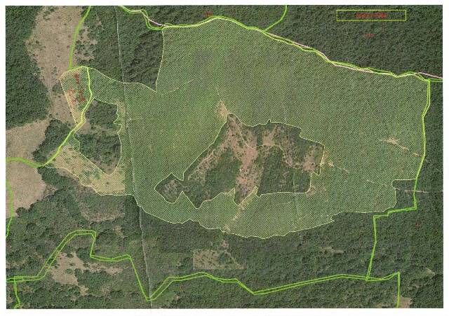 terreno agricolo in vendita ad Orvieto