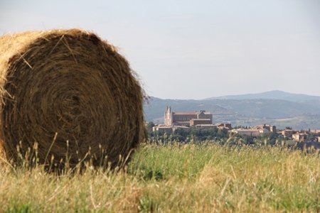 casa indipendente in vendita ad Orvieto in zona Bagni