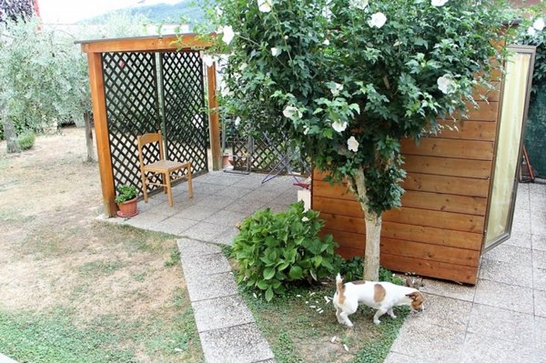 casa indipendente in vendita ad Orvieto in zona Ciconia
