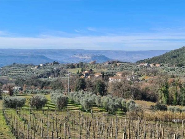terreno agricolo in vendita ad Orvieto in zona Osarella