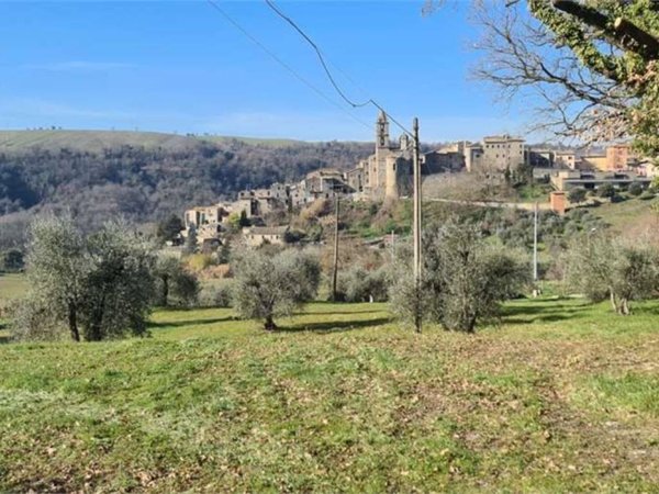 terreno agricolo in vendita ad Orvieto in zona Osarella