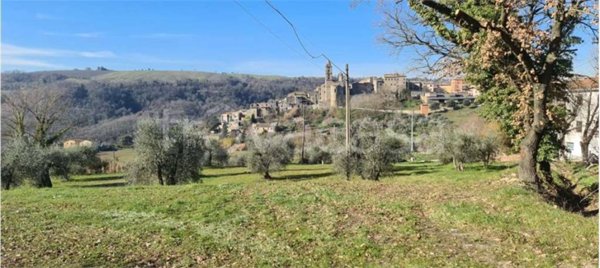 terreno agricolo in vendita ad Orvieto