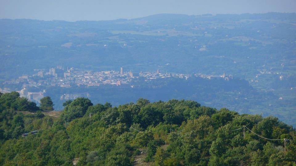 azienda agricola in vendita ad Orvieto in zona Prodo