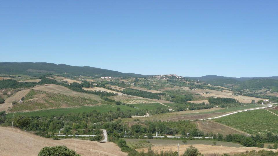 azienda agricola in vendita ad Orvieto