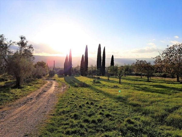 casale in vendita ad Orvieto