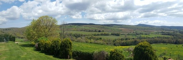 azienda agricola in vendita ad Orvieto