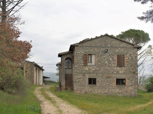 azienda agricola in vendita ad Orvieto