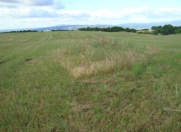 azienda agricola in vendita ad Orvieto