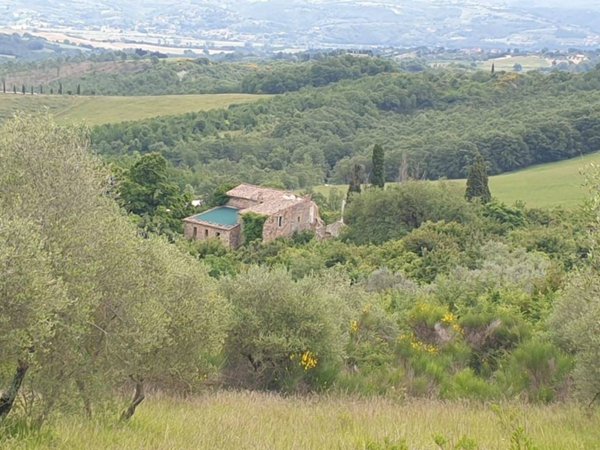 azienda agricola in vendita ad Orvieto in zona Sferracavallo