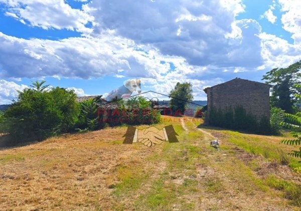 casale in vendita ad Orvieto