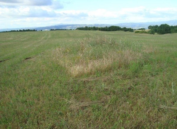 azienda agricola in vendita ad Orvieto