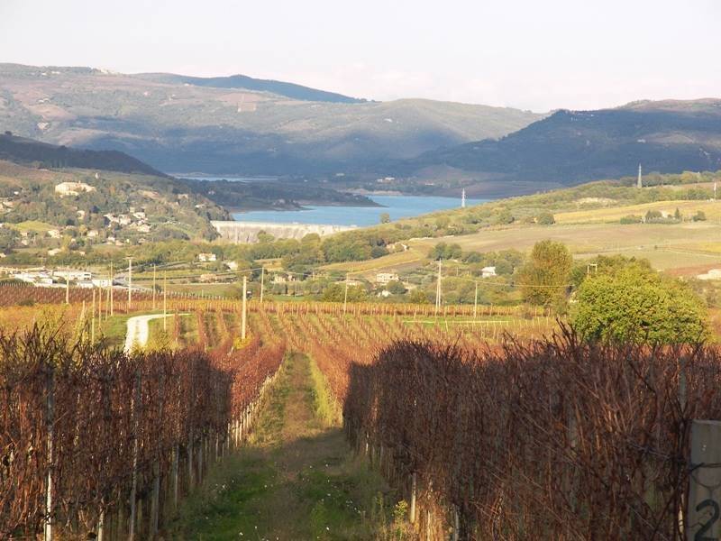 negozio in vendita ad Orvieto