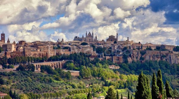 negozio in vendita ad Orvieto