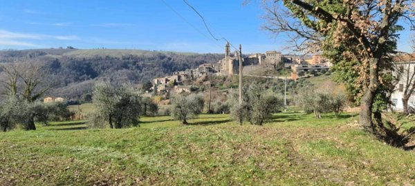 terreno agricolo in vendita ad Orvieto