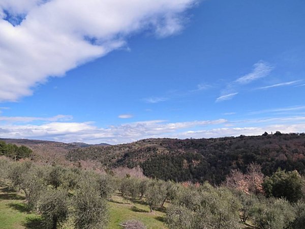casa indipendente in vendita ad Orvieto