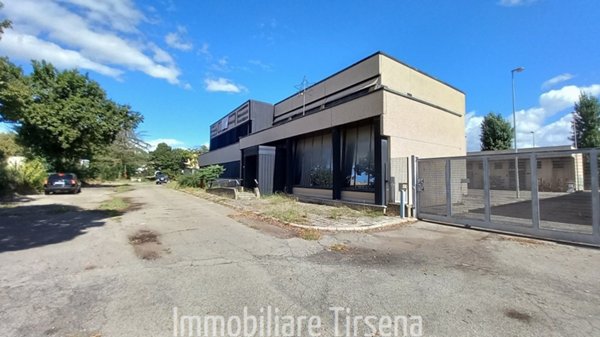 immagine annuncio 0 di 6