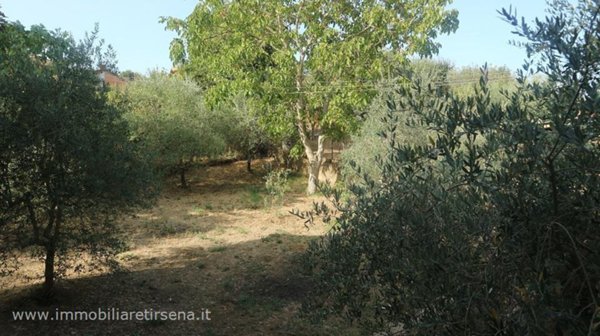 casa indipendente in vendita ad Orvieto in zona Torre San Severo