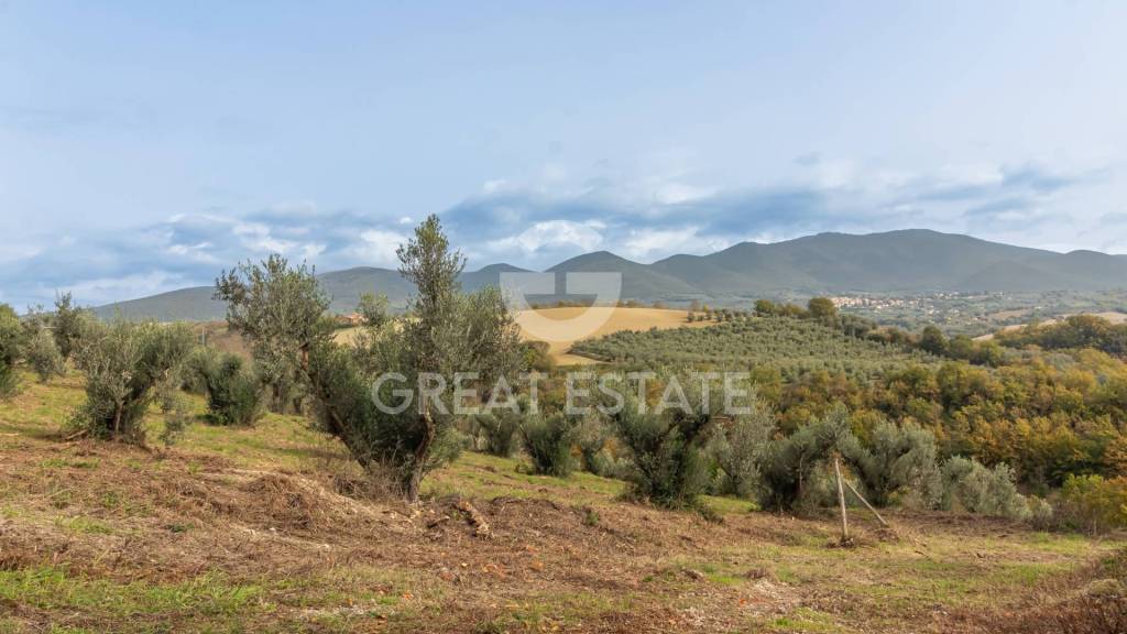 casa indipendente in vendita ad Orvieto