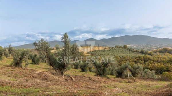 casale in vendita ad Orvieto