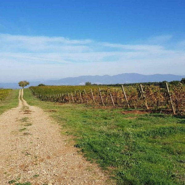 locale di sgombero in vendita ad Orvieto in zona Corbara