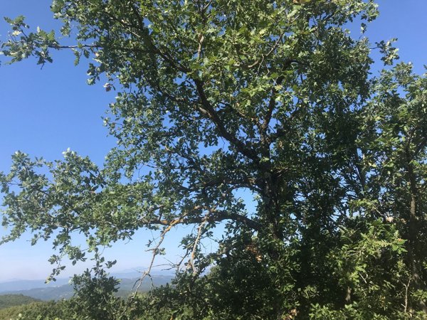 casa indipendente in vendita ad Orvieto