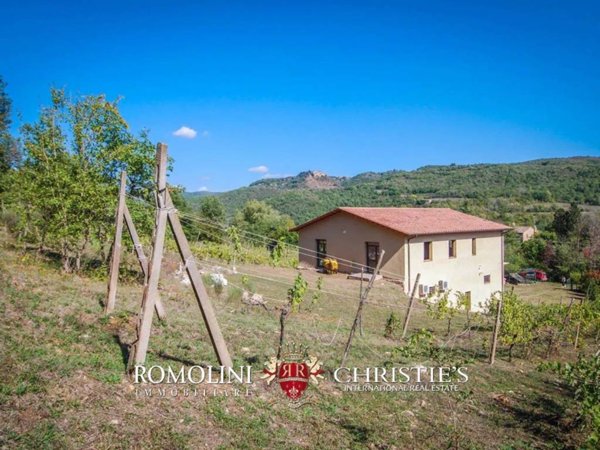casa indipendente in vendita ad Orvieto