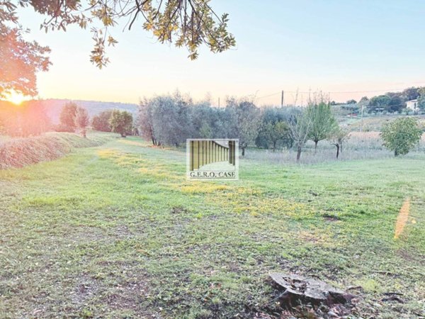 terreno agricolo in vendita ad Orvieto