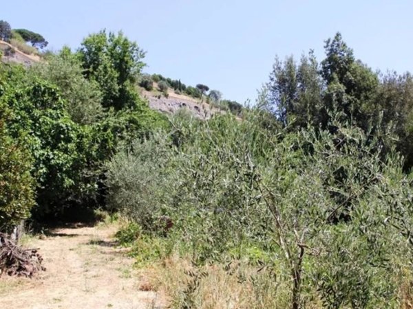 terreno agricolo in vendita ad Orvieto
