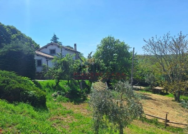 pentavano in vendita ad Orvieto