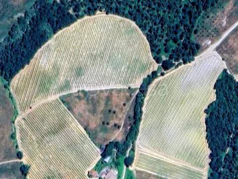 casa indipendente in vendita ad Orvieto in zona Bagni