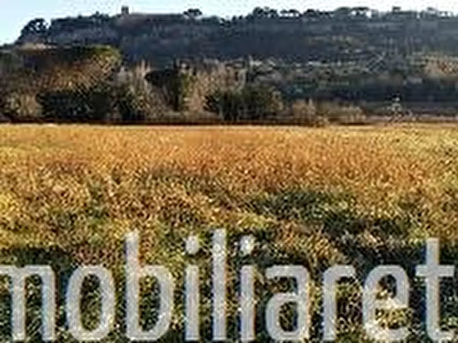 terreno agricolo in vendita ad Orvieto in zona Sferracavallo