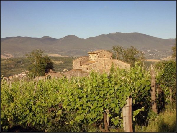 casa indipendente in vendita ad Orvieto