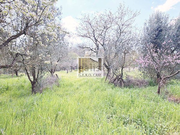 casa indipendente in vendita ad Orvieto